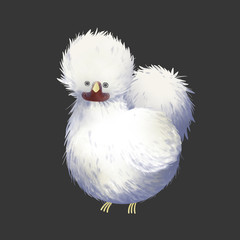 Cute Hen beautiful and magnificent animal illustration graphic design element good for use as web banner or application interface