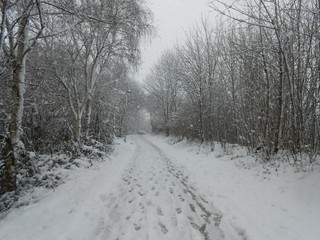 Obraz premium winter wonderland