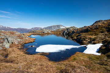 Naklejka premium On Mo mountain in Brønnøy municipality. Nordland county in northern Norway