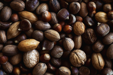 Background of different nuts