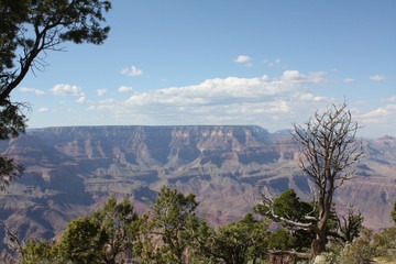 Fototapeta premium Wielki Kanion 37