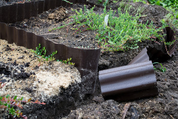 Plastic garden board in the garden. Brown blank board at garden bed with small sprout plants. Corrugated plastic ribbon for the fence of flowerbeds and lawns
