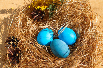 Painted Easter eggs in a nest of straw. Sunlight. Easter still life. - 336482602