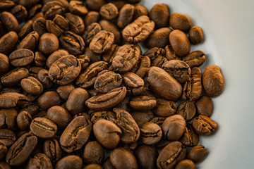 Coffee beans mexico chiapas oaxaca café de altura