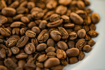 Coffee beans mexico chiapas oaxaca café de altura