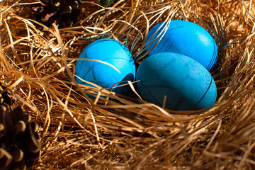 Painted Easter eggs in a nest of straw. Sunlight. Easter still life. - 336482660