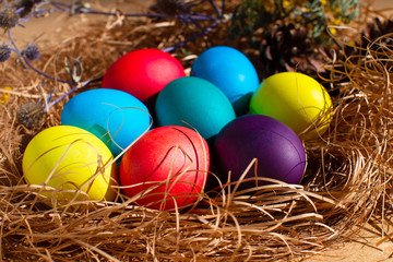 Fototapeta na wymiar Painted Easter eggs in a nest of straw. Sunlight. Easter still life.