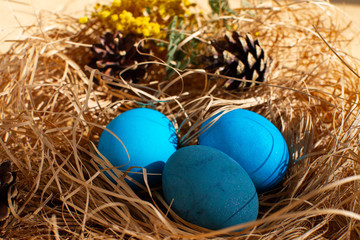 Painted Easter eggs in a nest of straw. Sunlight. Easter still life. - 336482810