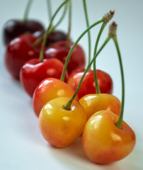 Cherries close-up on a background.