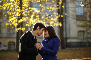 a guy with a girl walking in the park. Autumn in the park. sunny day