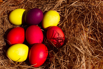 Painted Easter eggs in a nest of straw. Sunlight. Easter still life. - 336483232