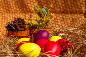 Painted Easter eggs in a nest of straw. Sunlight. Easter still life. - 336483246