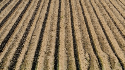 Plowed rows of a field ready for planning