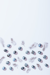 Minimal Easter pattern background in classic blue color with hard light and harsh shadows. Easter flat lay with quail painted eggs, feathers and flowers, copy space, creative card