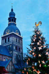 Christmas tree and Riga Cathedral at Dome square winter Riga