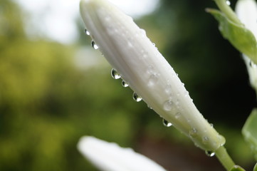 Some of my favorite pictures that i want to share!