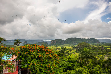Viñales Vinales Kuba