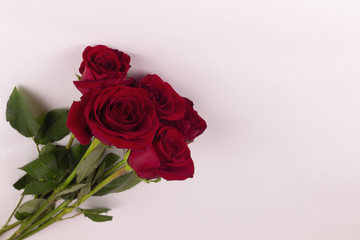 A bouquet of red roses lies on a white background. Copy space, place for inscription.