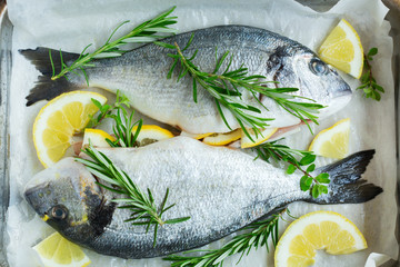 Fresh raw dorado fish with lemon, rosemary on kitchen table