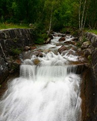 waterfall in the forest
