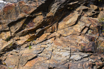 Nature Abstract: Pattern Created by Cracks and Crevices in a Solid Rock Wall