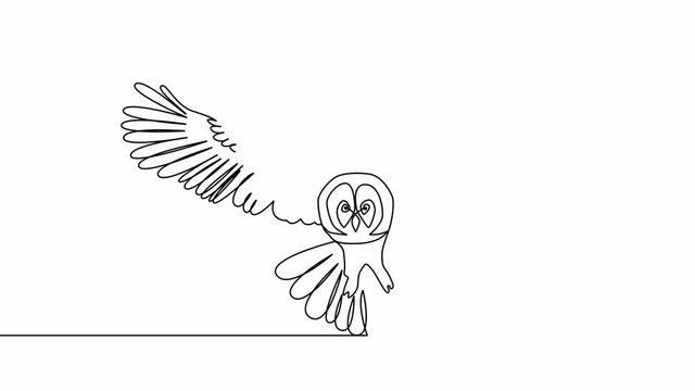 Self-drawing simple animation of one continuous drawing of one line of an owl with spread wings, flying.