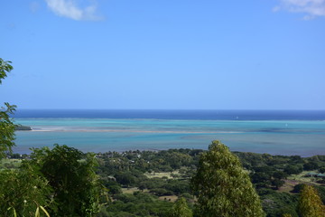 tropical beach with palm trees