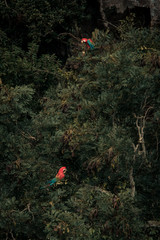 Chapada dos Guimarães