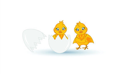 Two little yellow chicks on a white background. Vector illustration