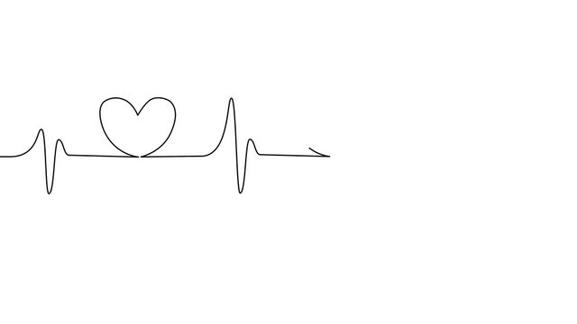 animation Single solid line art cardiogram anatomical human heart silhouette. Healthy medicine and love concept one sketch outline design.