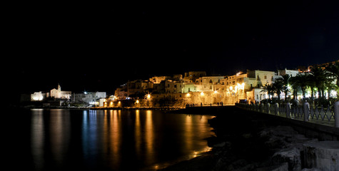 Fototapeta premium night view of the city of gargano