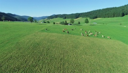 Naklejka premium DCIM\100MEDIA\DJI_0079.JPG