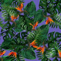 Original seamless tropical pattern with Strelitzia and leaves on purple background. Seamless pattern with colorful leaves of colocasia, filodendron, monstera. Exotic wallpaper. Hawaiian style © Olena