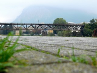 bridge over the river in the forest