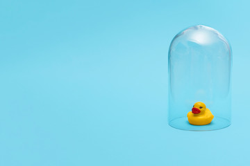 Yellow kids bath time rubber ducky in quarantine under a glass cloche dome on a blue background with copy space and room for text with a right side composition
