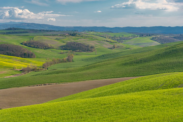 Fototapeta na wymiar panorama of the Chianti hills in Tuscany