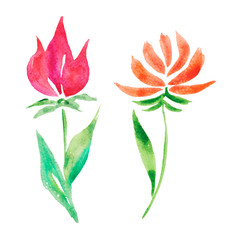 Two simple watercolor flowers on a long stem of pink and orange. Isolated on a white background.