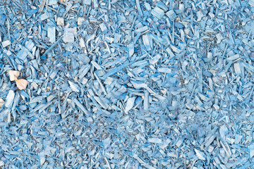 blue wood chips on the ground. unusual background