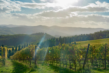 panorama of the Chianti hills in Tuscany