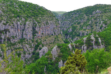 Fototapeta na wymiar Panoramic view of the gorges in the Vikos- Aoos national park in Greece