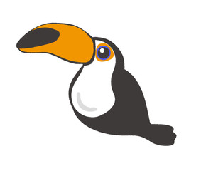 toucan