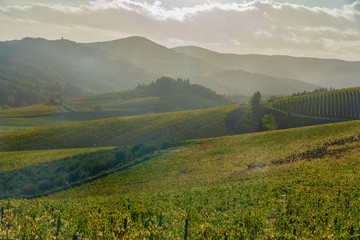 panorama of the Chianti hills in Tuscany