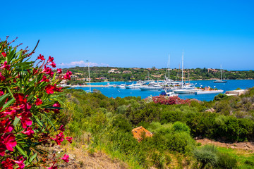 Porto Cervo, Sardinia, Italy - Panoramic view of luxury yacht port, marina and residences of Porto...