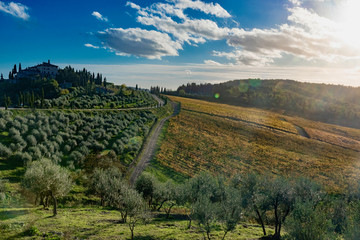Naklejka premium panorama of the Chianti hills in Tuscany