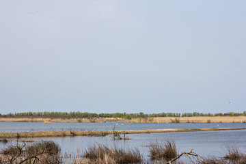 Wooden pier on the Danube River.  Spring on Danube river