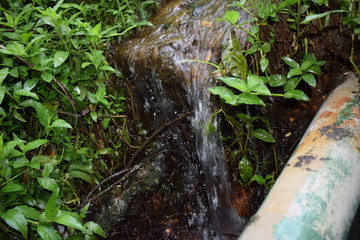 water flowing into the forest