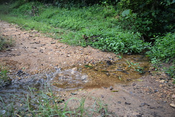water sprinkler in the grass