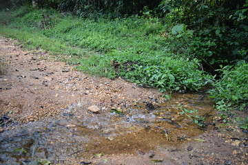 irrigation system in the field