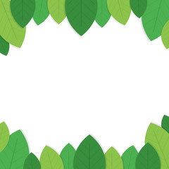 This is the background with green leaves.