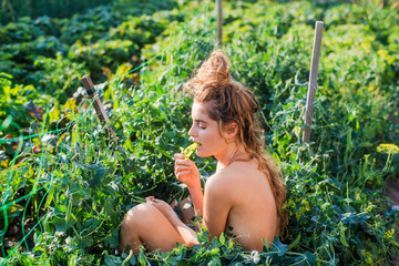 Attractive brunette harvesting vegetables: tomatoes, cucumbers, cabbage, peas, eggplants, peppers